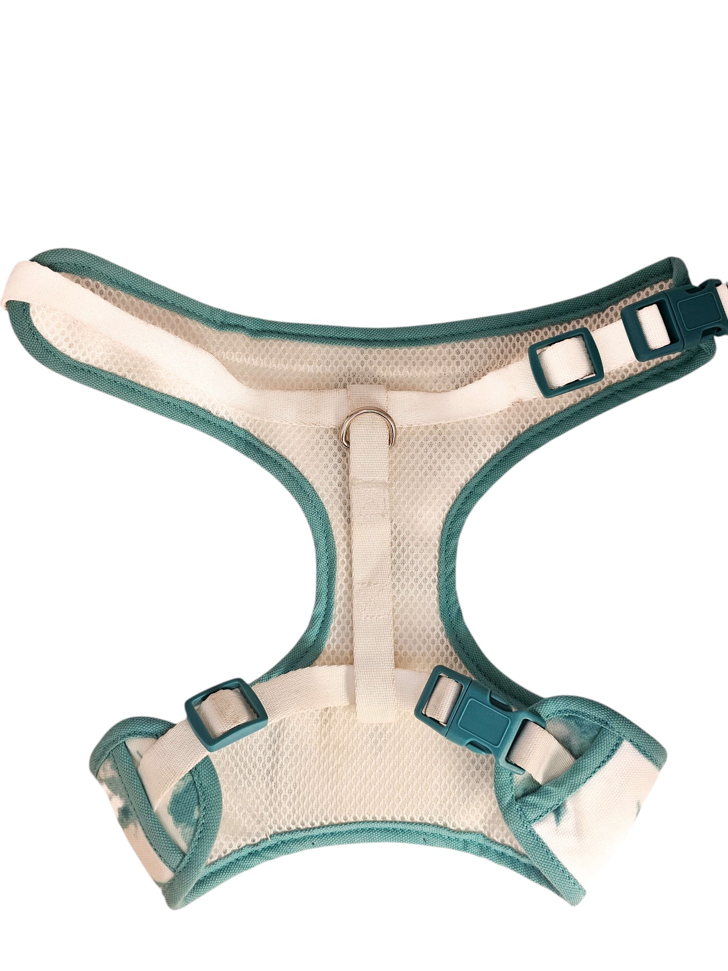 20250222_164246-Photoroom